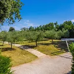 Vila Istria Moderna In Muntic *