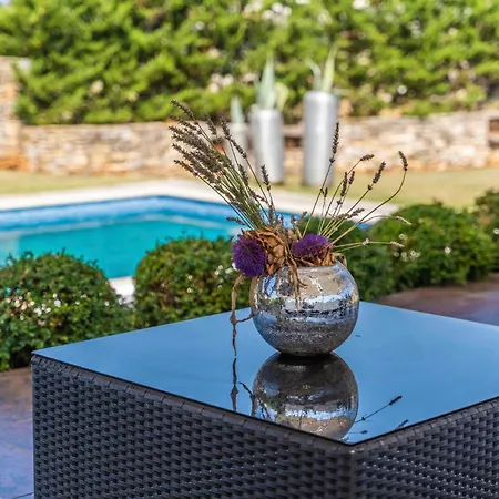 Villa Istria Moderna In Muntic