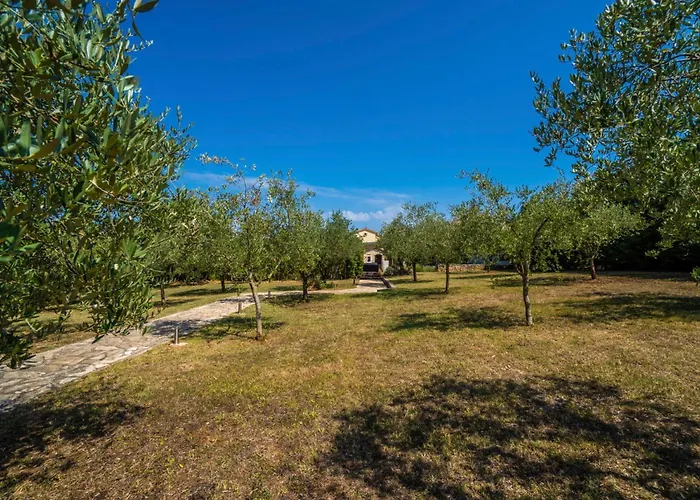 Istria Moderna In Muntic Pola