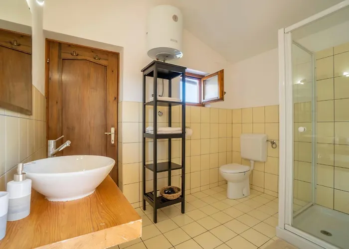 Villa Istria Moderna In Muntic