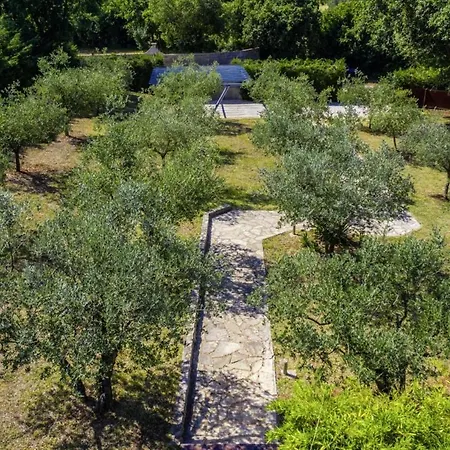 Istria Moderna In Muntic * Pula