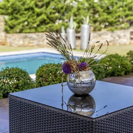 Villa Istria Moderna In Muntic *