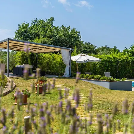 Istria Moderna In Muntic * 普拉