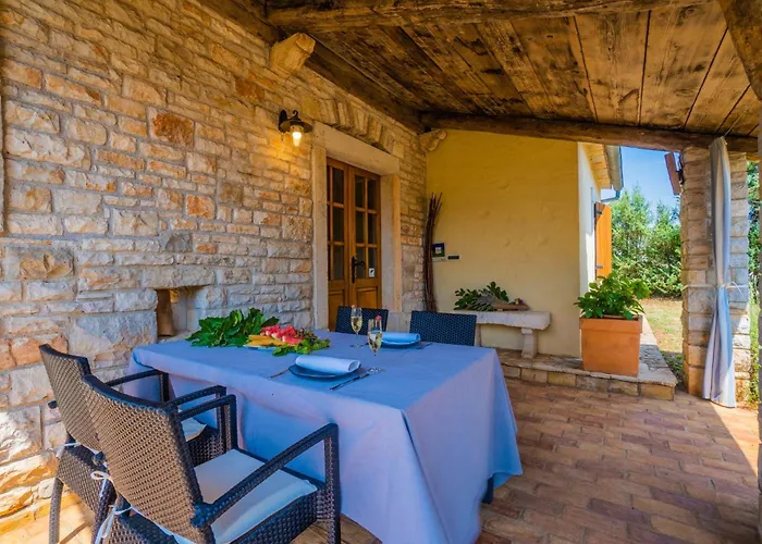 Vila Istria Moderna In Muntic *